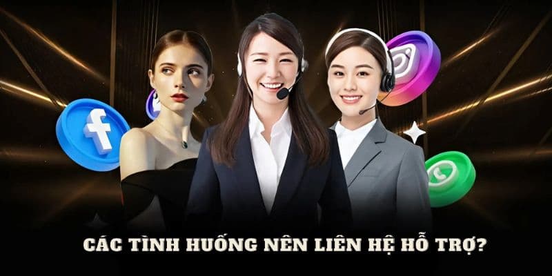 Các tình huống nào cần liên hệ hỗ trợ?