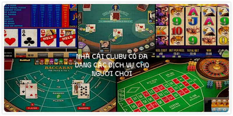Lĩnh vực hoạt động và dịch vụ mà CLUBV cung cấp